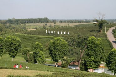 IMG_5828