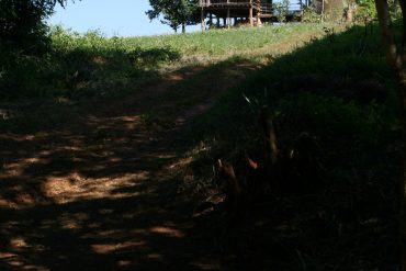 IMG_5935