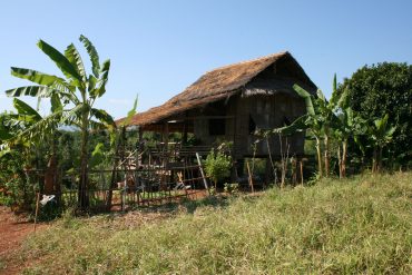 IMG_5942