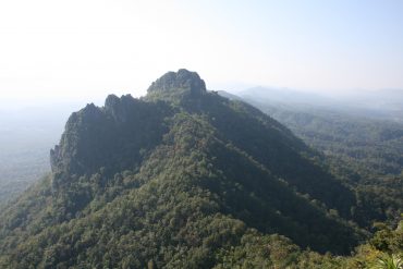 IMG_6366