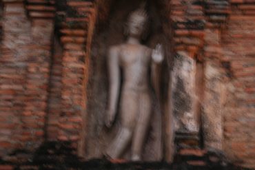 IMG_6445