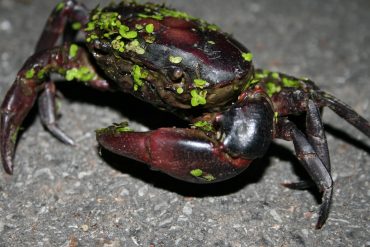 IMG_6472